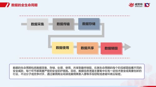 數(shù)據(jù)處理安全無(wú)憂 從零基礎(chǔ)到精通的全生命周期防護(hù)秘籍
